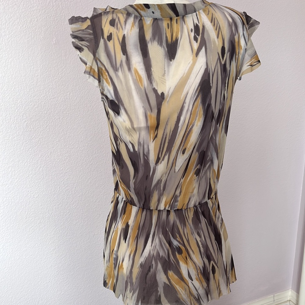 Beautiful Sheer Ruffle Blouse - Picture 5 of 8